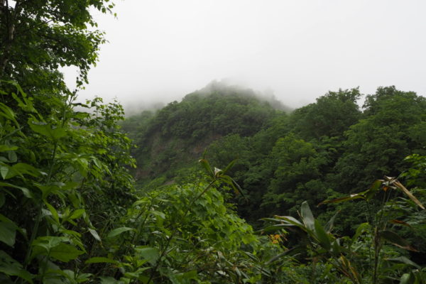 雨竜沼湿原までの道