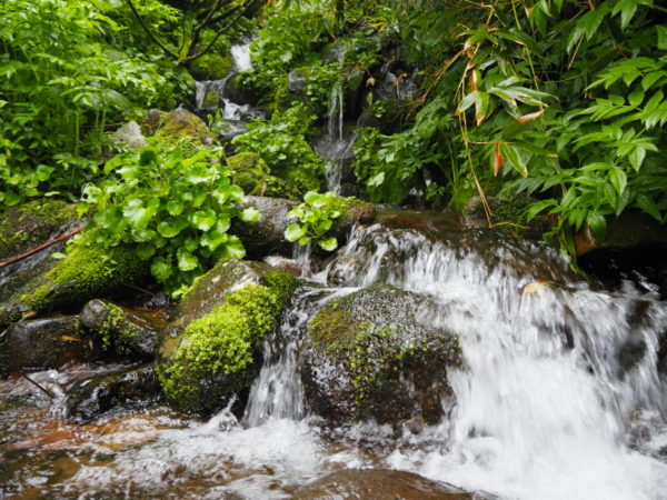 雨竜沼湿原までの道