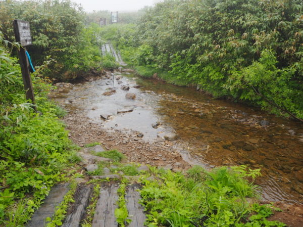 雨竜沼湿原－洗い場