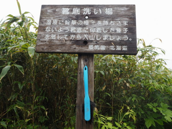 雨竜沼湿原－洗い場