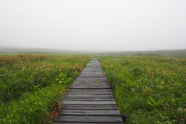 雨竜沼湿原