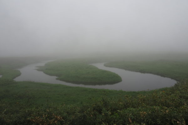 雨竜沼湿原