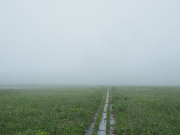 雨竜沼湿原