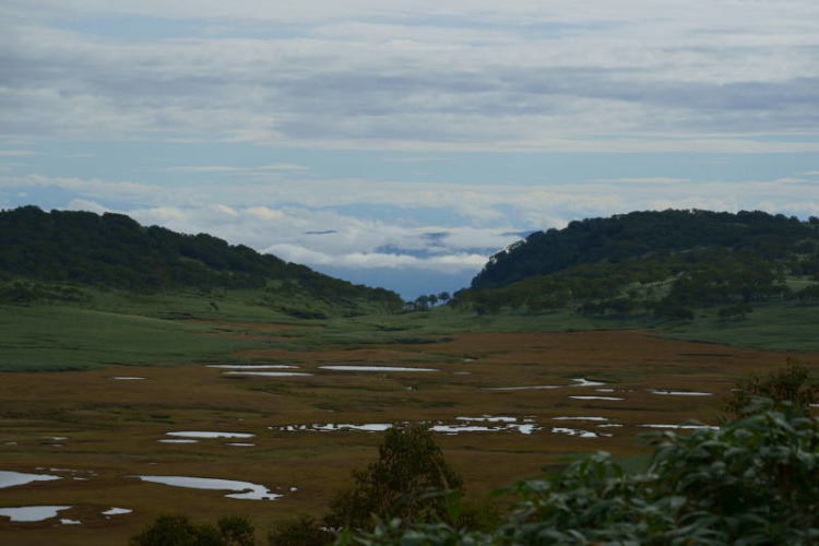 雨竜沼湿原展望台